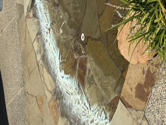 Before: Irregular flagstone coping borders pool water beside ornamental grasses.